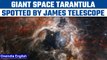 NASA’s James Webb Telescope spots ‘Giant Space Tarantula’| Oneindia News *News