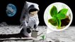 How NASA Biologists Plan to Grow Plants on the Moon