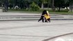Un chimpanzé s'échappe du zoo de Kharkiv, il revient grâce à un imperméable jaune