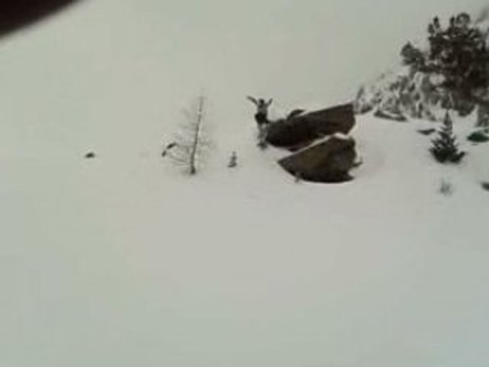 Drop à iso 2