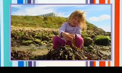 Something Special - Mr Tumble - Full Episode - Stables
