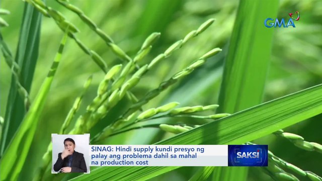 Sangkaterbang isdang tamban, sumulpot sa baybayin ng Concepcion, Iloilo | Saksi