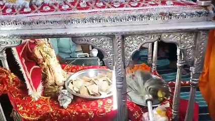 पालकी पर सवार निकले भगवान को देखने उमड़े श्रद्धालू