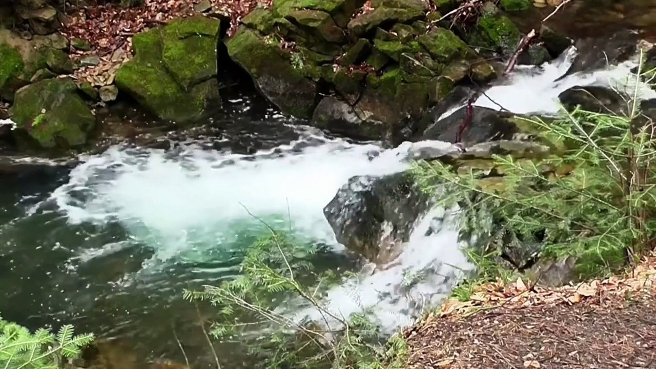 Relaxante Musica para Meditar e Dormir em Apenas 15 Minutos , Rios