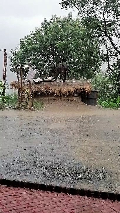 Village life