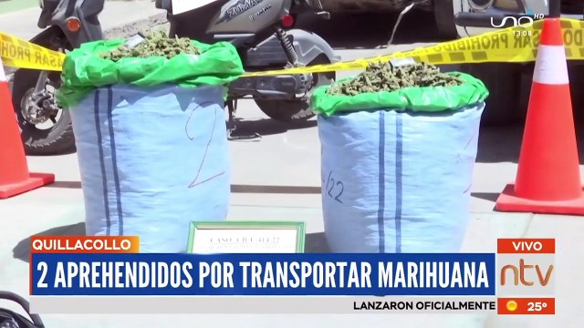 Dos aprehendidos por transportar marihuana