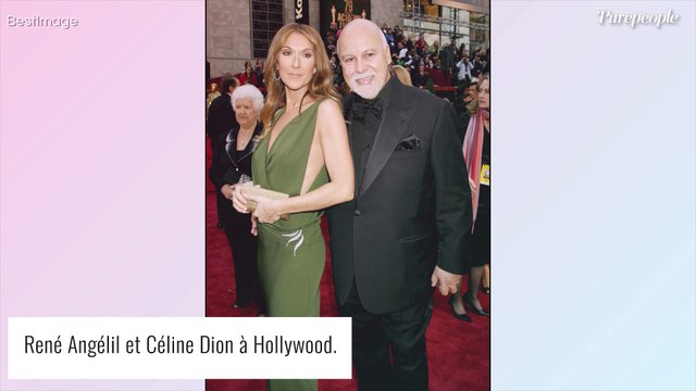 Céline Dion : 10 000 mètres carrés, 14 salles de bains, 3 piscines... sa maison hors norme