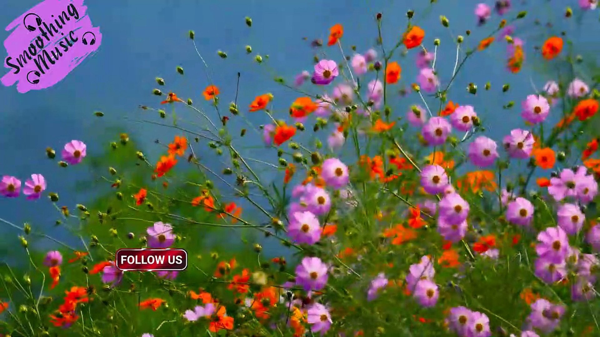 5 Minute Deep Sleep Music ★︎ Meditation Music, Calming Music, Sleep, Relaxing Music,Sleeping Music