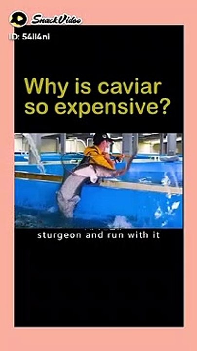 Why is caviar so expensive