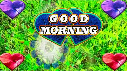 Good morning friends | Wishing you a wonderful day | best good morning motivational video 2022