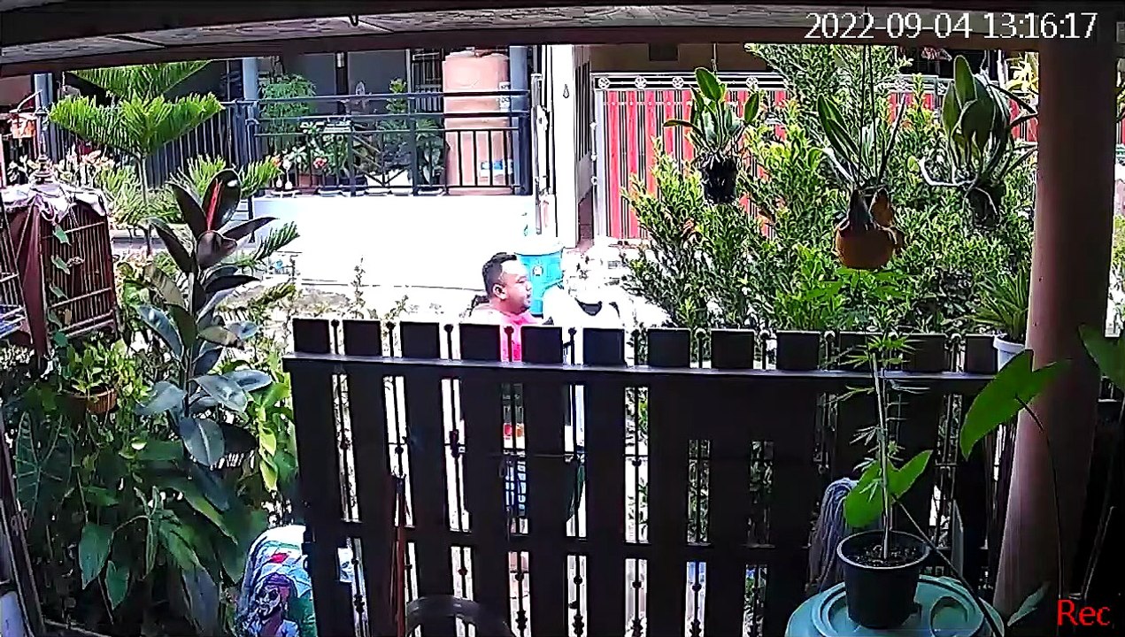 Catastrophe de corde à linge quand un homme ferme la porte  - Buzz Buddy