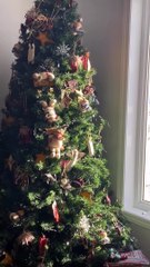 Chat joue dans l'arbre de Noël  - Buzz Buddy