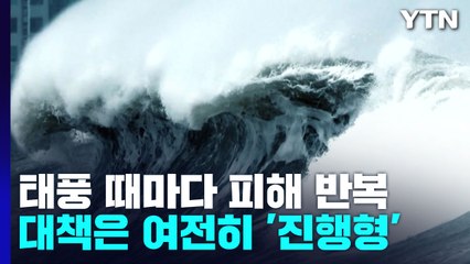 태풍 때마다 월파 피해 반복...대책은 여전히 '진행형' / YTN