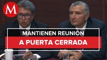 Adán Augusto López y senadores de Morena se reúnen