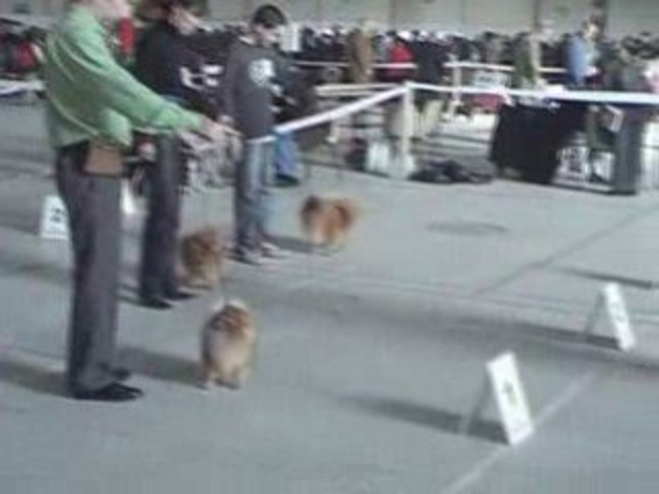 MOV027 forum