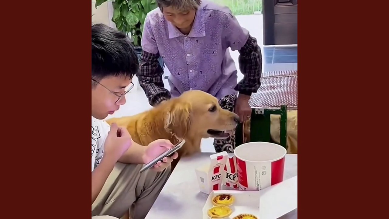 let's see, this animal is very polite to older people