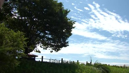 [날씨] 절기 '백로' 쾌청하지만 큰 일교차...연휴, 맑고 늦더위 / YTN