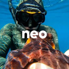 Fabien est infirmier et il a une passion : les poulpes