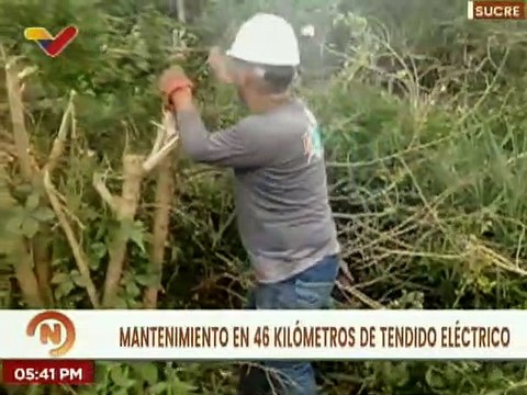 Sucre | Corpoelec realiza mantenimiento en 46 kilómetros de tendido eléctrico