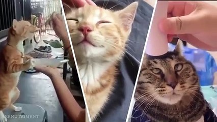 Lucu-dan-Menggemaskan-melihat-tingkah-ku_165