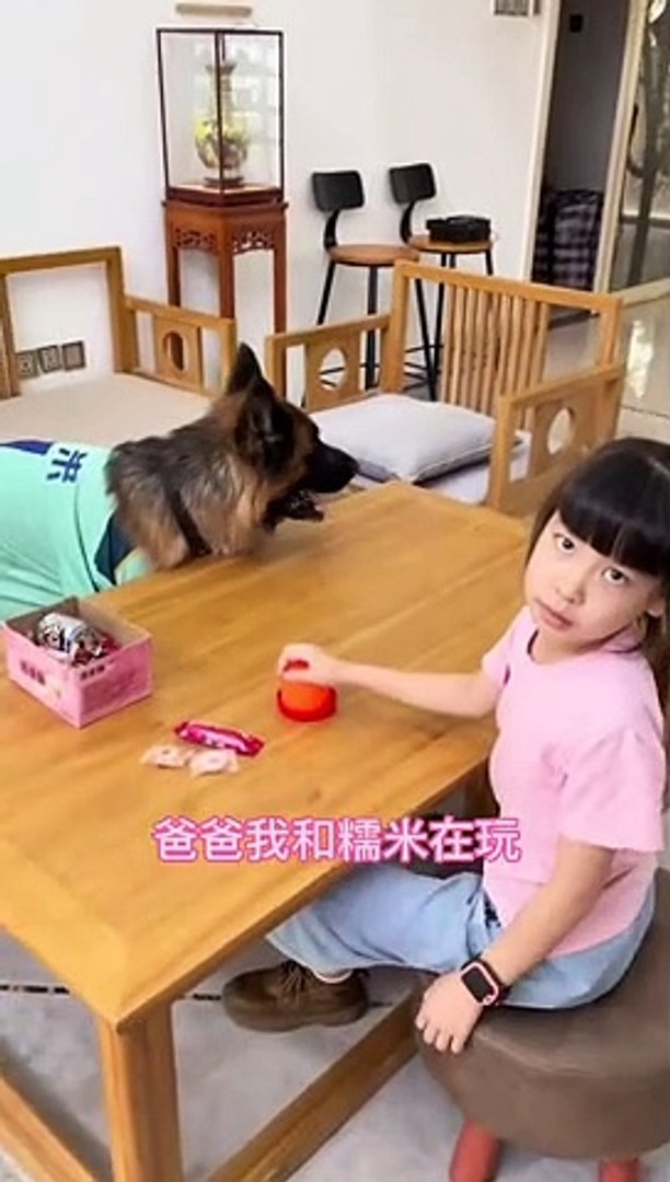 我怀疑我们家糯米不仅听得懂人话还有超能力！