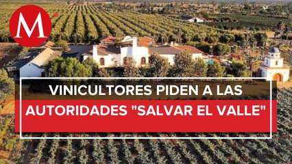 En Baja California, tierras de cultivo para vino podría desaparecer dentro de 15 años