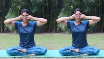 भ्रामरी प्राणायाम ( Bhramari Pranayama ) कैसें करे, फायदे | भ्रामरी प्राणायाम कब करें | *Yoga