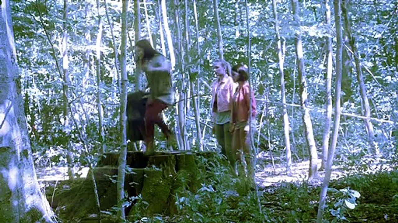 Fluch des Falken Staffel 4 Folge 33 HD Deutsch