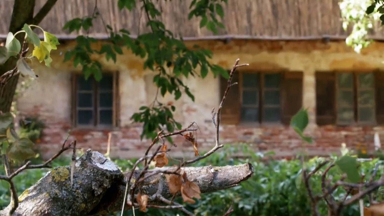 Fluch des Falken Staffel 4 Folge 30 HD Deutsch