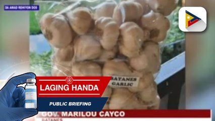 Ilang mga magsasaka sa Batanes, dumaraing dahil sa oversupply ng bawang sa probinsya