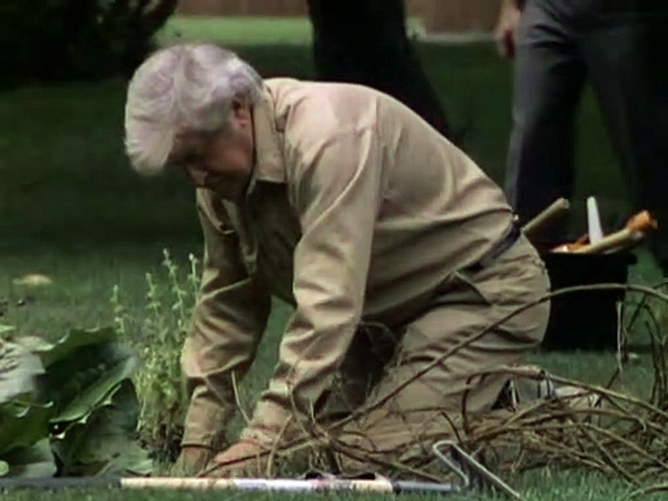 Nick Knight - Der Vampircop Staffel 2 Folge 13 HD Deutsch