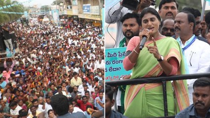 BJP విమోచన దినమట, టీఆర్ఎస్ సమైక్యత దినమట *Politics | Telugu OneIndia