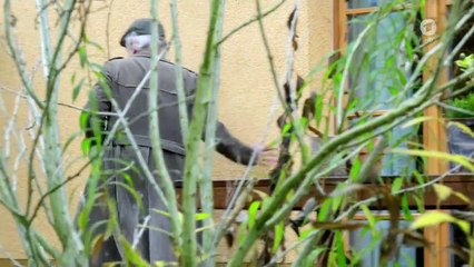 Rentnercops Staffel 1 Folge 8 HD Deutsch