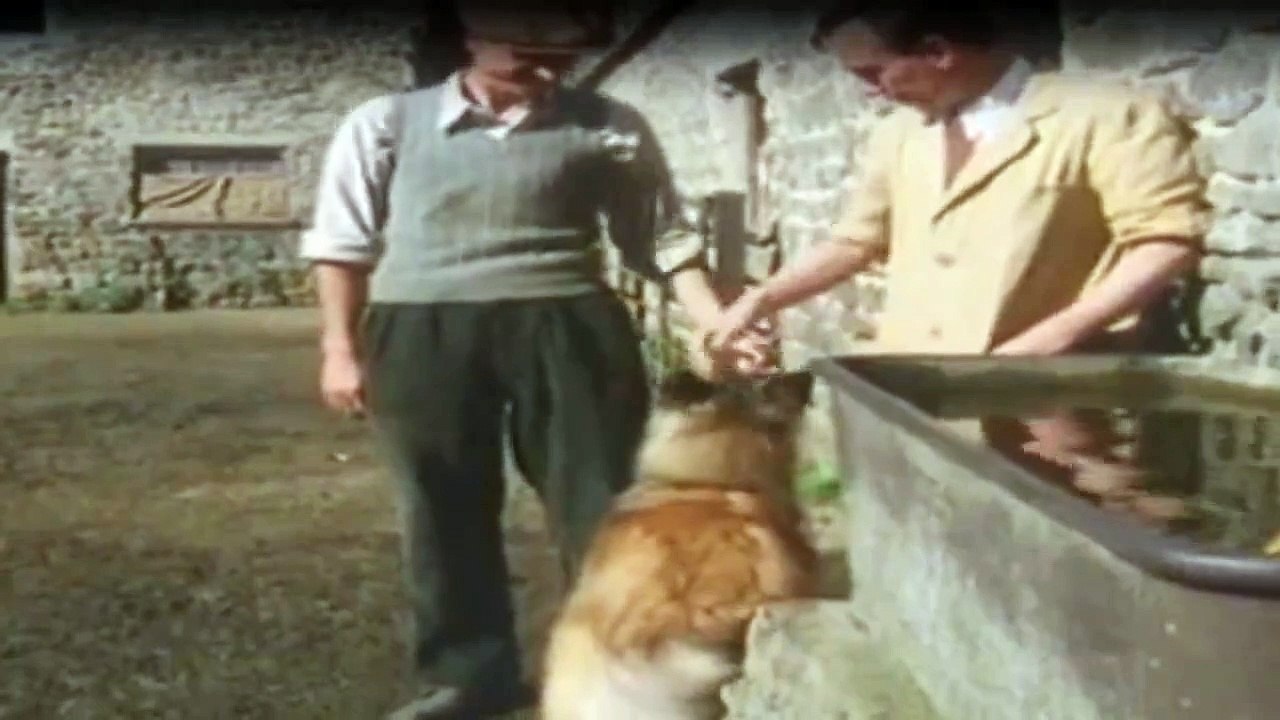 Der Doktor Und Das Liebe Vieh Staffel 4 Folge 7 - Part 01 HD Deutsch