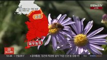 [날씨] 절기 '백로' 전국 맑음…큰 일교차 주의