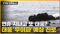 [자막뉴스] '힌남노' 지나가니 12호 태풍 '무이파' 발생...예상 진로는? / YTN