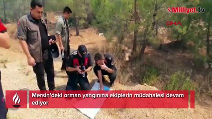 Mersin'deki yangında 2. gün! İşte son durum...