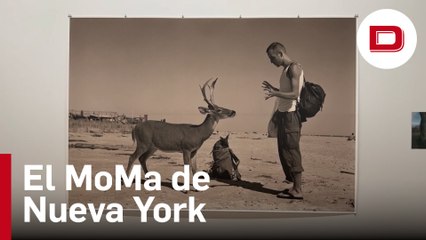 Wolfgang Tillmans se apodera del MoMA de Nueva York