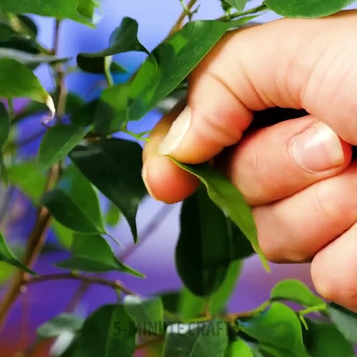 How to apply nail polish perfectly - Nail art ideas, pedicure hacks