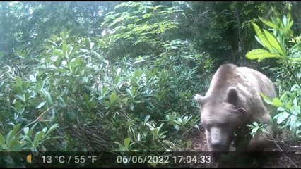 AYI 'METEOR', HOCAYA TELESKOP ALDIRDI
