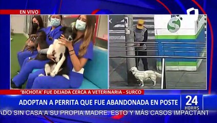 Surco: Adoptan a perrita que fue abandonada en la puerta de una veterinaria