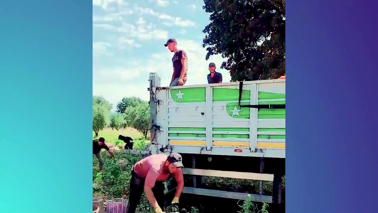 Oddly Satisfying Video With Relaxing & Calm Deep Sleep Music for Stress Relief & Meditation Ep183