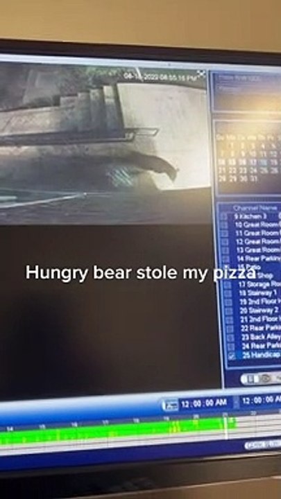 pizza urso