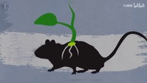 Why do rats grow saplings? Ten bizarre events that weren't captured by camera and you never believe