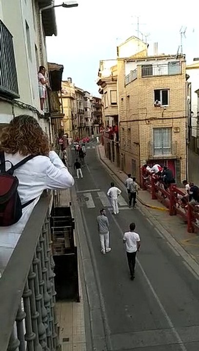 Primer encierro con los toros de la corrida en Cintruénigo
