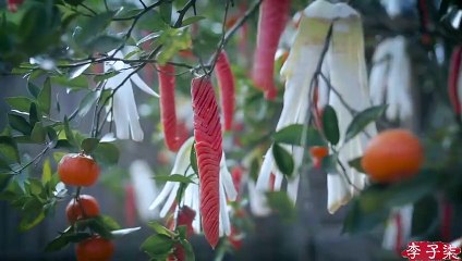 The last episode of the “Life Series”- The life of white radish Liziqi Channel