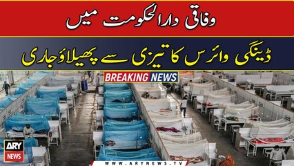 Dengue cases on the rise in Islamabad