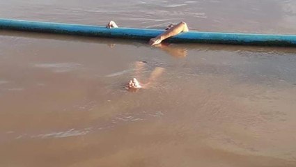 Ailesine yük olmak istemeyen yaşlı kadın, nehre atlayarak intihara kalkıştı