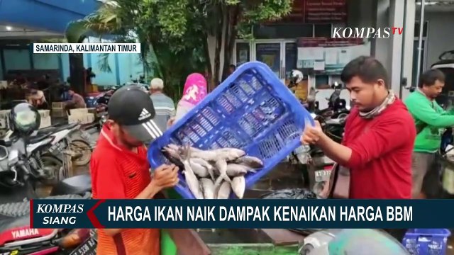Dampak Kenaikan Harga BBM, Harga Ikan di Samarinda Alami Kenaikan!