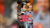 Un dinosaure vieux de 150 millions d'années mis aux enchères à Paris